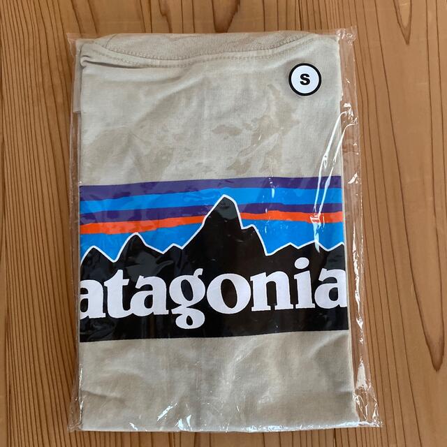 patagonia(パタゴニア)のパタゴニア半袖Ｔシャツ　ベージュ メンズのトップス(Tシャツ/カットソー(半袖/袖なし))の商品写真