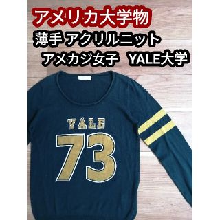 ブラウニー(BROWNY)のアメリカ大学 イェール大学 YALE アクリルニット セーター アメカジ 緑 黃(ニット/セーター)