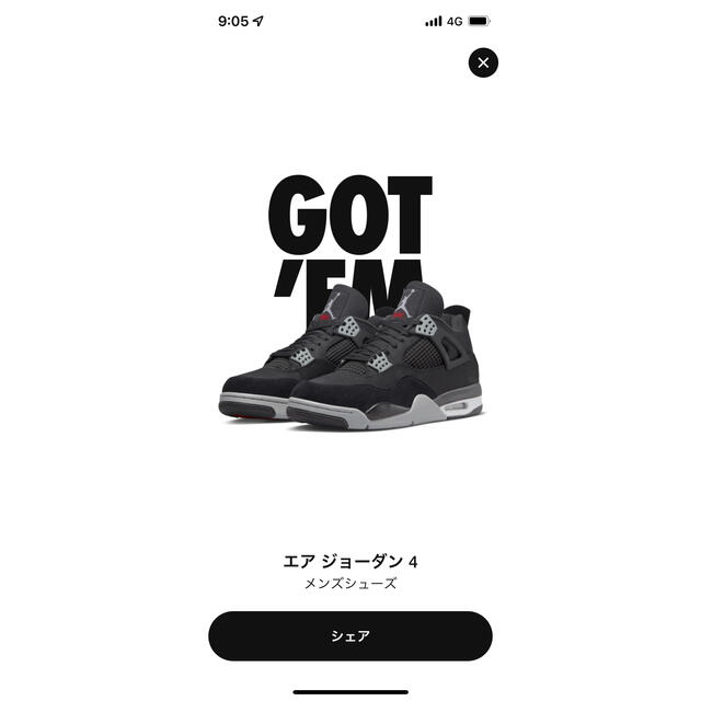 Nike Air Jordan 4 Black and Light Steel