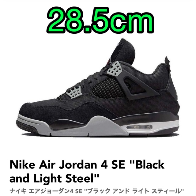 Air Jordan 4 SE "Black and Light Steel"