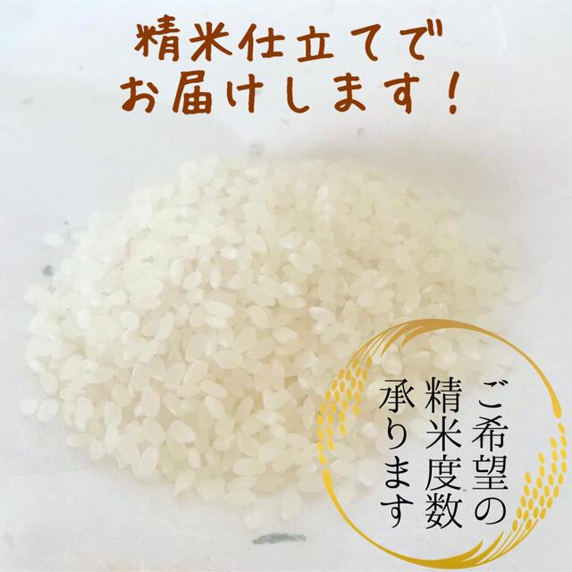 リピ買い 農家直送 レア品種米 兵庫県産シキユタカ 20kg(10kg×2) 食品/飲料/酒の食品(米/穀物)の商品写真