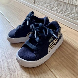 プーマ(PUMA)のプーマ ベビーバスケットキャンバス(13cm)(スニーカー)