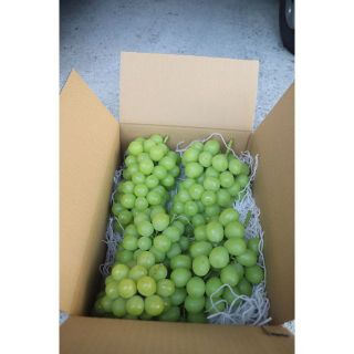 シャインマスカット　　(フルーツ)