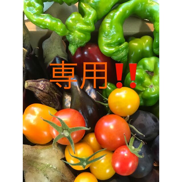 【ご予約品⠀】♪彩り野菜セット♪ 食品/飲料/酒の食品(野菜)の商品写真