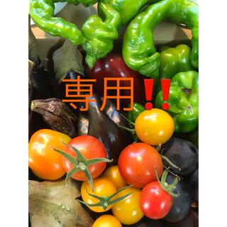 【ご予約品⠀】♪彩り野菜セット♪(野菜)