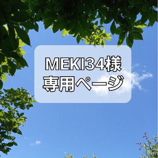 MEKI34様専用ページ(その他)