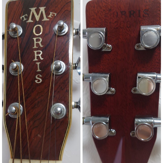 Morris TF W50 フォークギター  アコースティックギター モーリス