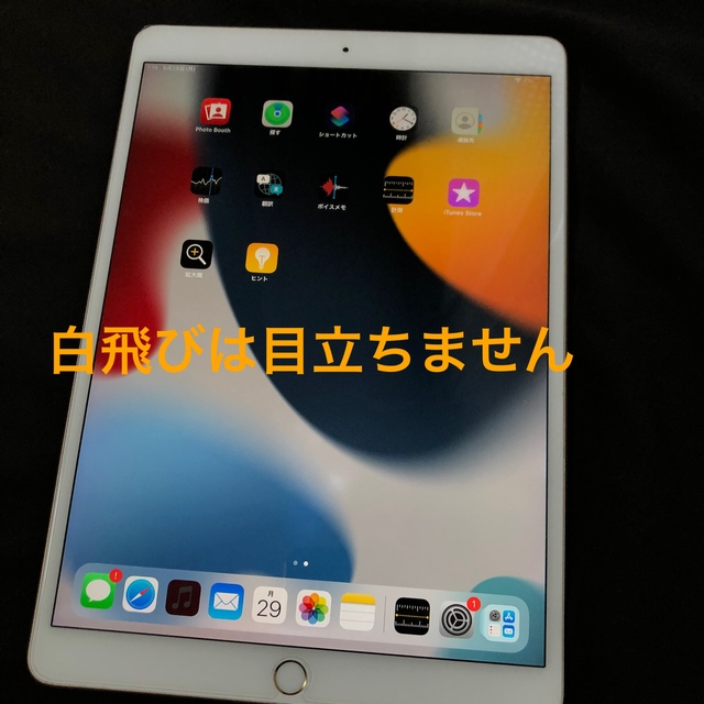 【美品】iPad Pro 10.5 WiFi 256 GB おまけ付