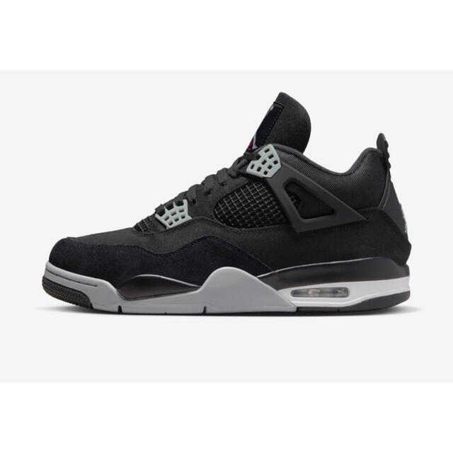 Nike Air Jordan 4 SE "Black and Light