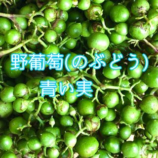 みみりんさん専用(野菜)