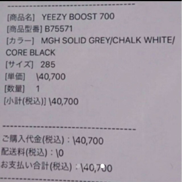 adidas YEEZY BOOST Wave Runner 28.5メンズ