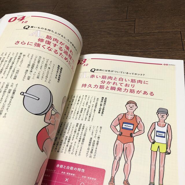 エイ出版社(エイシュッパンシャ)の日本一わかりやすい筋肉の本 筋肉の名前・しくみ・働きがよくわかる！ エンタメ/ホビーの本(健康/医学)の商品写真