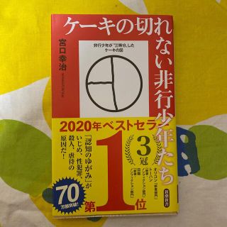 ケーキの切れない非行少年たち(その他)