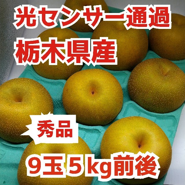 栃木県産★光センサー通過高糖度【豊水梨】1玉500㌘超え９玉５kg前後 食品/飲料/酒の食品(フルーツ)の商品写真