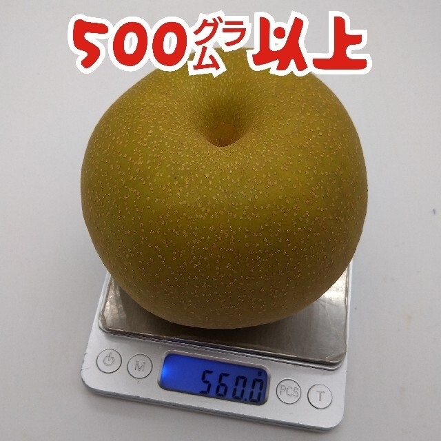 栃木県産★光センサー通過高糖度【豊水梨】1玉500㌘超え９玉５kg前後 食品/飲料/酒の食品(フルーツ)の商品写真