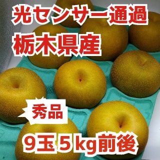 栃木県産★光センサー通過高糖度【豊水梨】1玉500㌘超え９玉５kg前後(フルーツ)