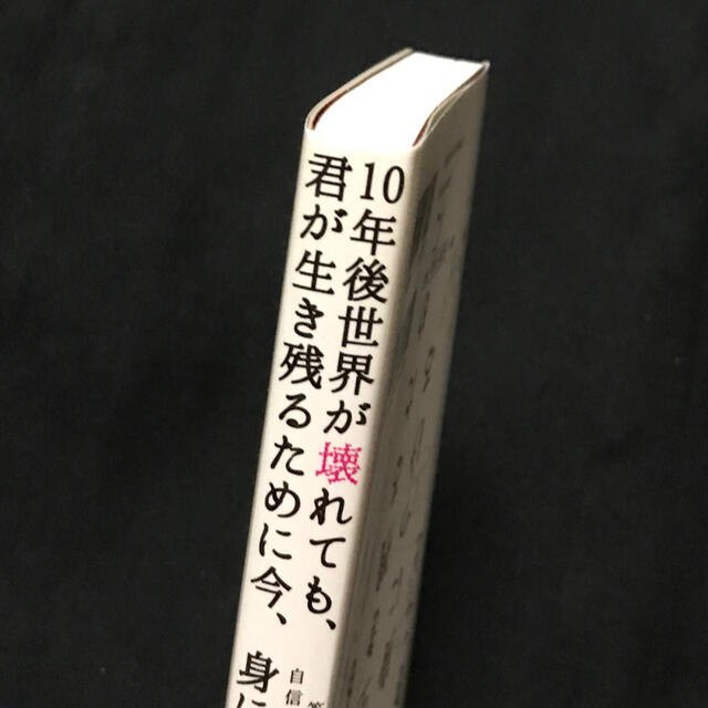 １０年後世界が壊れても、君が生き残るために今、身につけるべきこと 答えのない不安 エンタメ/ホビーの本(ビジネス/経済)の商品写真