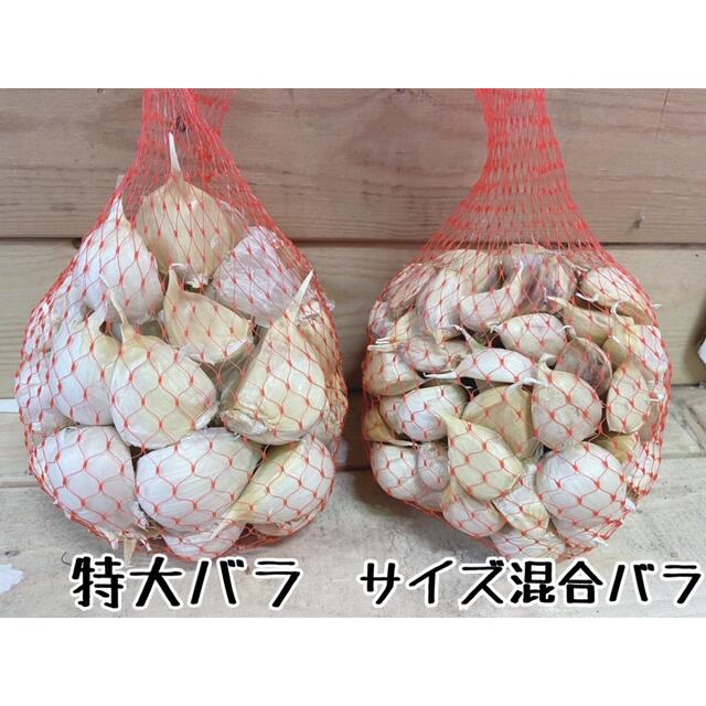 令和4年度青森県産にんにくバラ サイズ混合10kg 食品/飲料/酒の食品(野菜)の商品写真