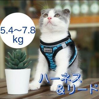 メッシュ♪ 猫用ハーネス 猫に優しい ネコ リード付き　超軽量　夜反射　【M】(猫)