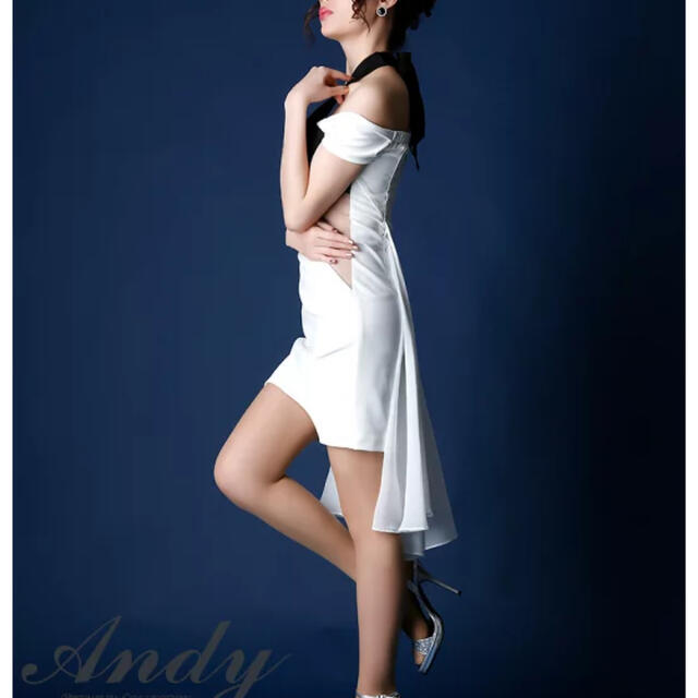 Andy(アンディ)のキャバドレス レディースのフォーマル/ドレス(ナイトドレス)の商品写真