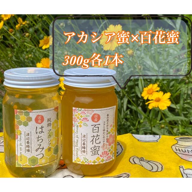 国産はちみつ　アカシア　百花蜜　300g各1本ずつ