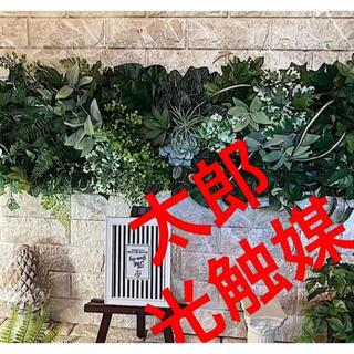 光触媒　人工観葉植物　ウォールグリーン　フェイク　フラワー851590(壁掛けミラー)
