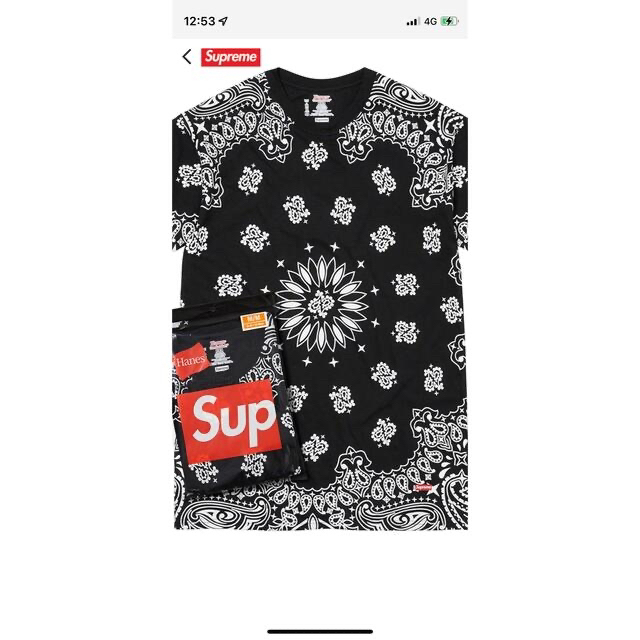 Supreme Hanes Bandana Tees