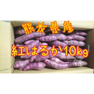 熊本県産紅はるか10kg(野菜)