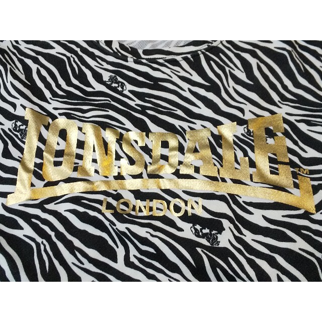 LONSDALE(ロンズデール)のLONSDALE 刺繍 半袖Tシャツ ビッグロゴ Mサイズ メンズのトップス(Tシャツ/カットソー(半袖/袖なし))の商品写真