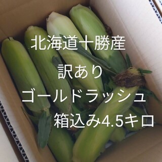 9/1収穫発送北海道十勝産訳ありゴールドラッシュ、トウモロコシ、とうもろこし(野菜)