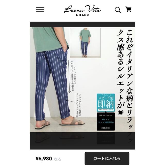 ZARA(ザラ)のイタリア系ブランド【Buona Vita(ボナヴィータ) 】ストライプパンツ メンズのパンツ(その他)の商品写真