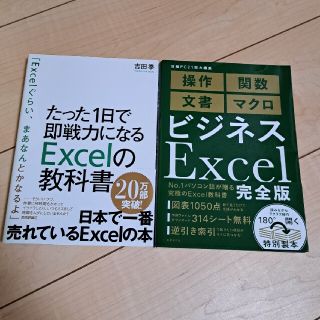 Excel　本　まとめ売り(コンピュータ/IT)