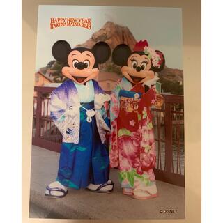 ディズニー(Disney)のディズニースペシャルフォト　スペフォ  お正月　ミキミニ(写真)