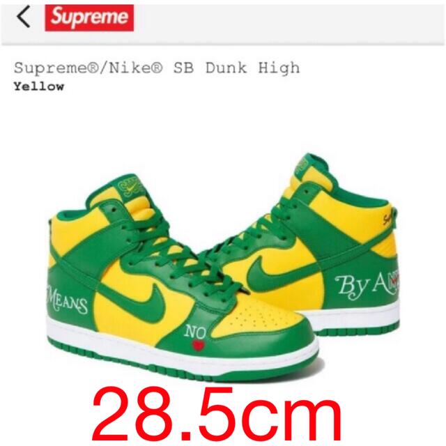靴/シューズ Supreme × Nike SB Dunk High By Any Means 直販入荷