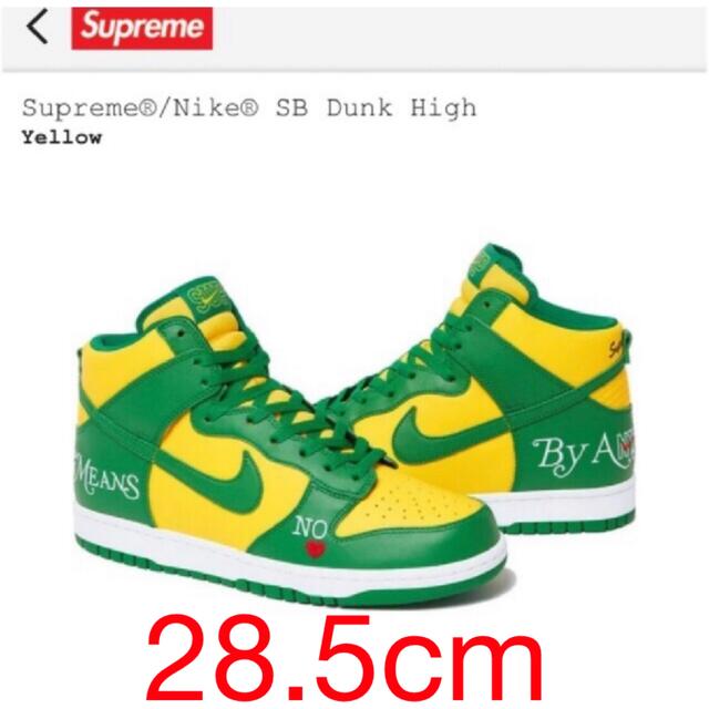 Supreme(シュプリーム)のSupreme × Nike SB Dunk High By Any Means メンズの靴/シューズ(スニーカー)の商品写真