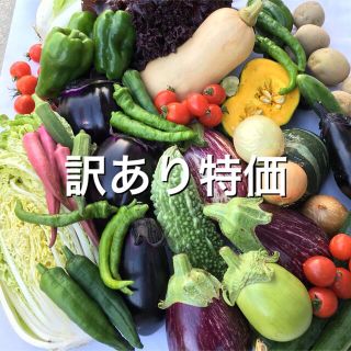 野菜BOX  Lサイズ　訳あり特価(野菜)