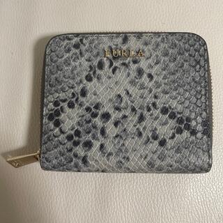 フルラ パイソン 財布(レディース)の通販 24点 | Furlaのレディースを