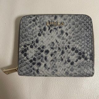 フルラ パイソン 財布(レディース)の通販 24点 | Furlaのレディースを