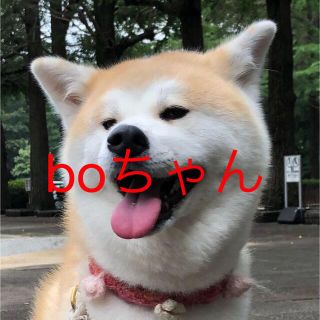 bo-ちゃん専用♡