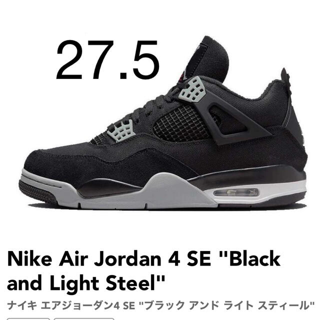 Nike Air Jordan 4 SE "Black and Light St