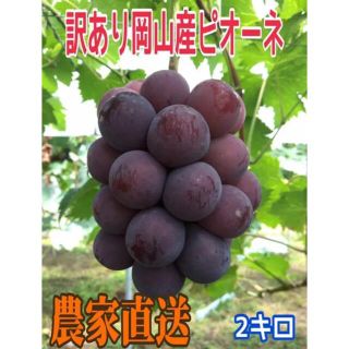 岡山農家直送(訳あり)ピオーネ2kg箱×2(フルーツ)