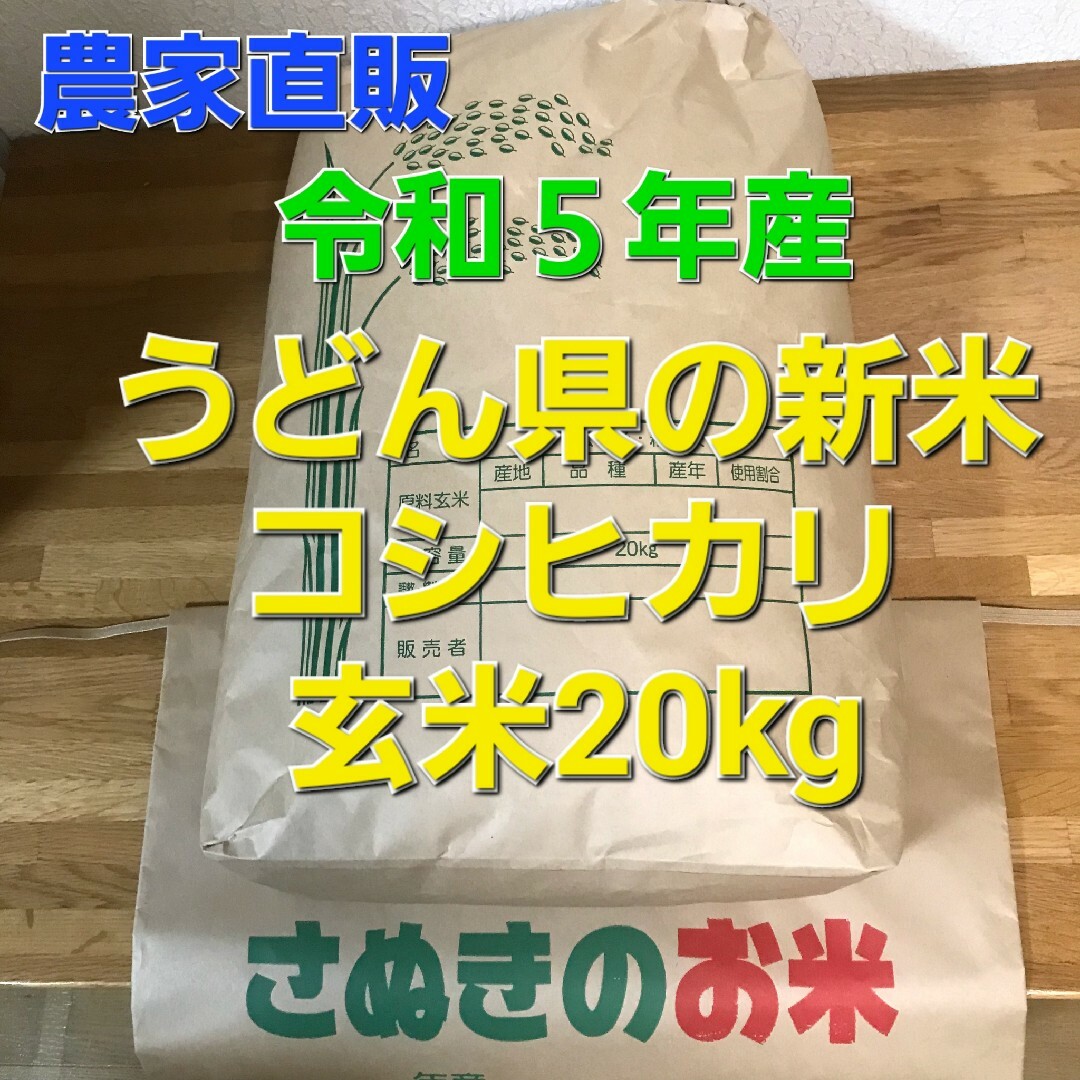 令和5年  香川県産 コシヒカリ  玄米20キロ米/穀物