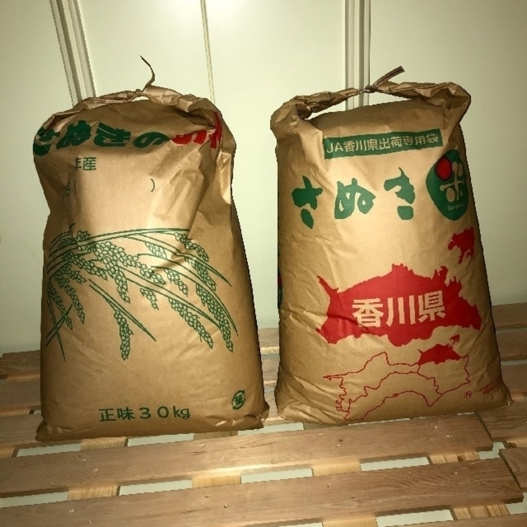 米/穀物　令和5年　コシヒカリ　香川県産　玄米20キロ