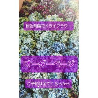 2022秋色紫陽花オーダーページ(ドライフラワー)