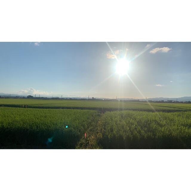 ほい ほい