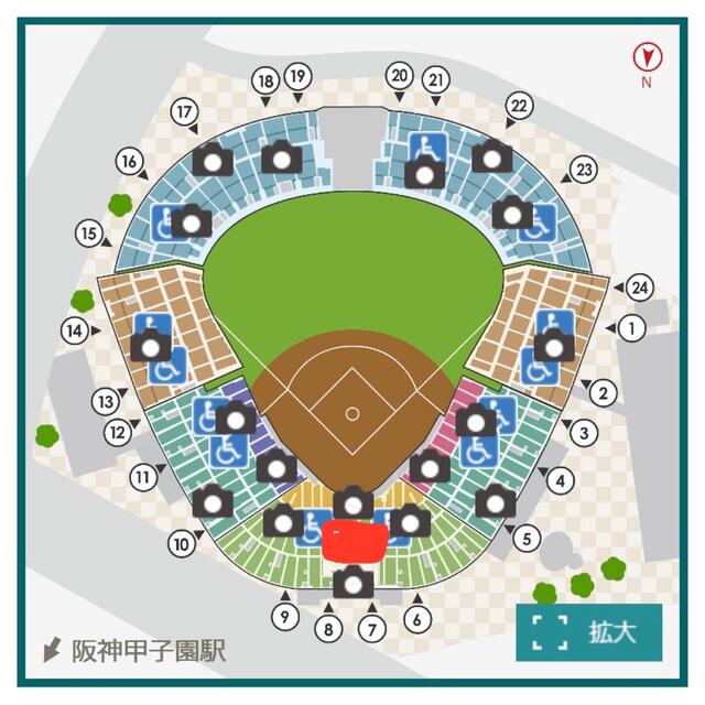 阪神タイガース(ハンシンタイガース)の阪神 ヤクルト チケット グリーンプレミアムシート  チケットのスポーツ(野球)の商品写真