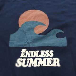 ナノユニバース(nano・universe)のthe endless summer  nano universe Tシャツ　Ｌ(Tシャツ/カットソー(半袖/袖なし))