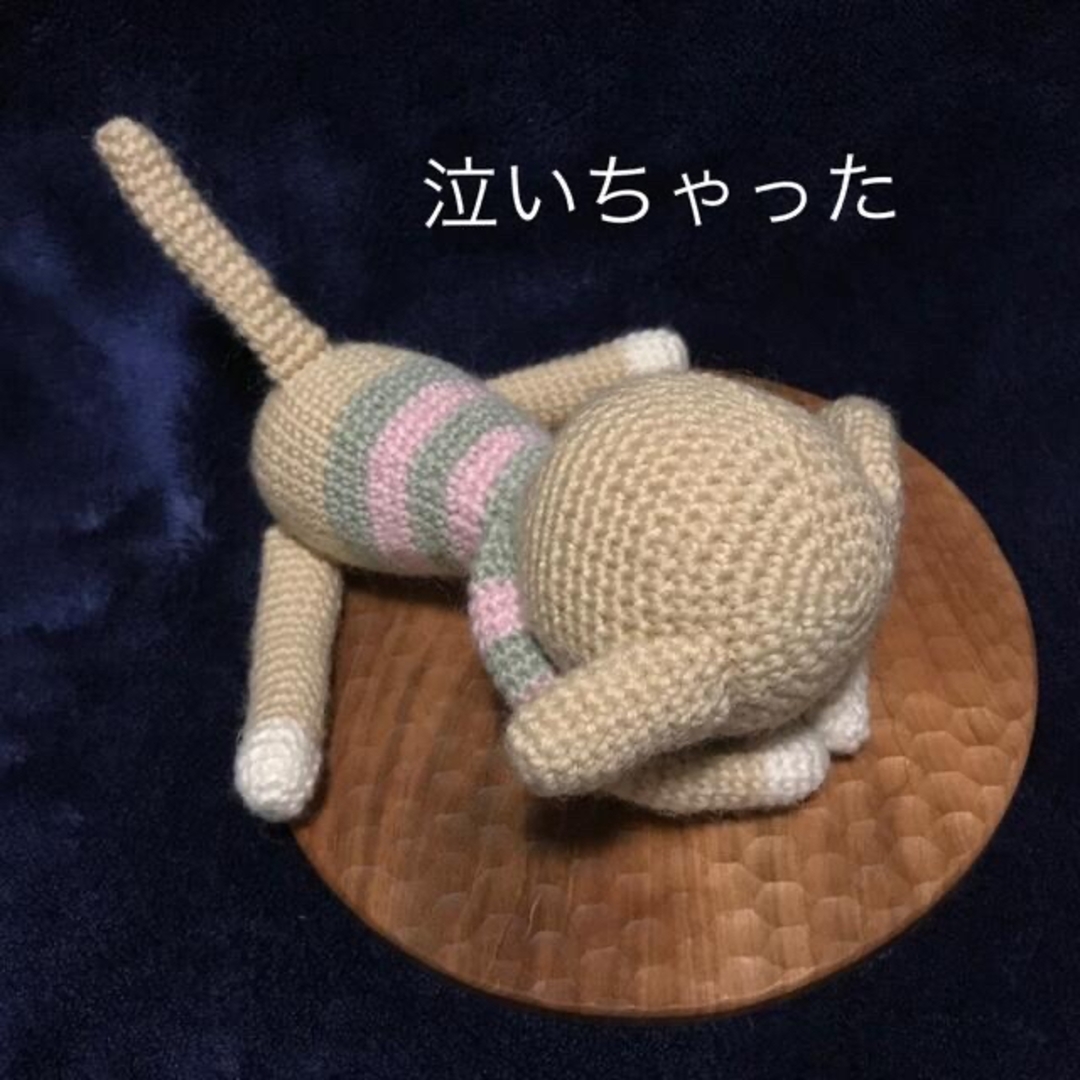 Wool yarn の あみぐるみ 反省犬 あみいぬ わんちゃん　ベージュ ハンドメイドのぬいぐるみ/人形(あみぐるみ)の商品写真