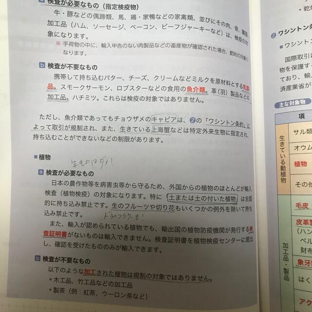 フォーサイト旅行業務取扱管理者 参考書 エンタメ/ホビーの本(資格/検定)の商品写真