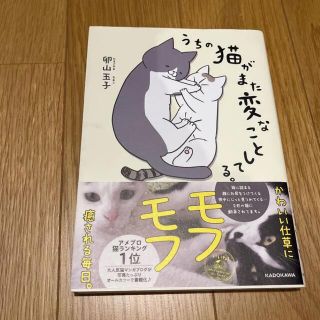 うちの猫がまた変なことしてる。(その他)